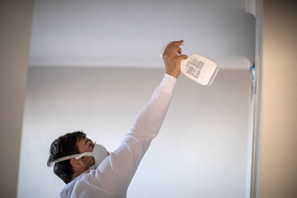 Best Local Mold Removal Service  in Cedar Bluff, AL