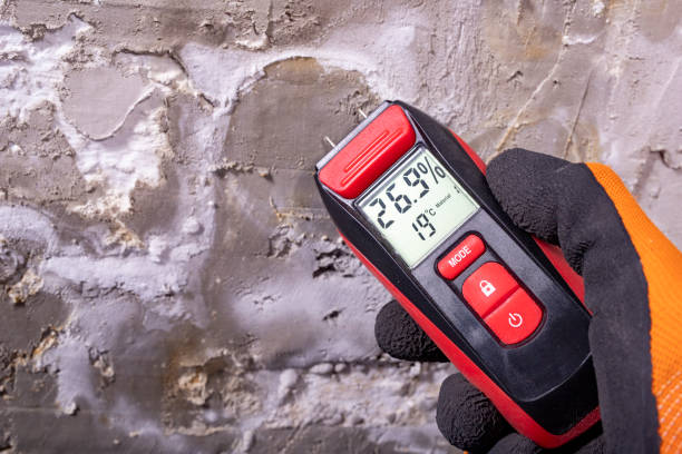 Best Emergency Mold Removal  in Cedar Bluff, AL
