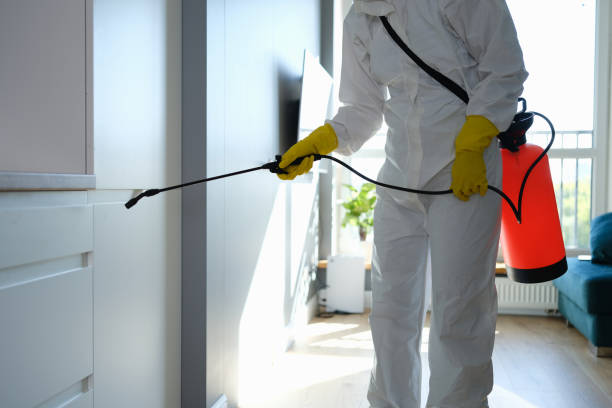 Best Attic Mold Removal  in Cedar Bluff, AL