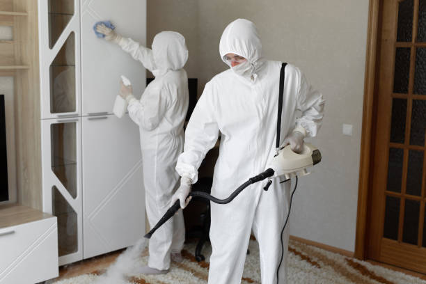 Best Mold Removal Process  in Cedar Bluff, AL